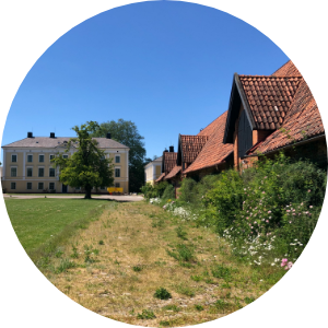 Sommaryoga vid Börringe Kloster